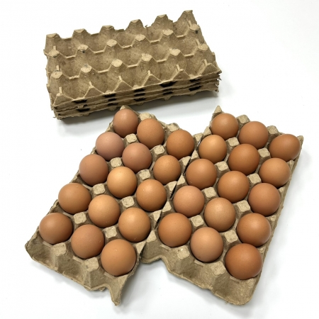 紙漿成型製品-小包裝雞蛋盤