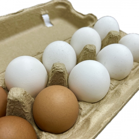 Egg trays & Egg cartons