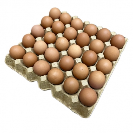 Egg trays & Egg cartons